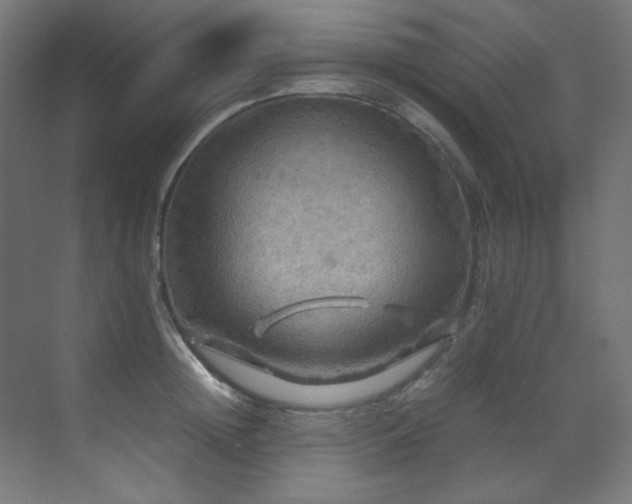 X0000070170852200605261154