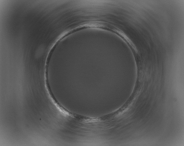 X0000070170853200605261154