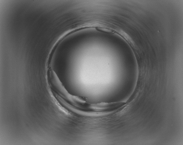 X0000070170854200605261154
