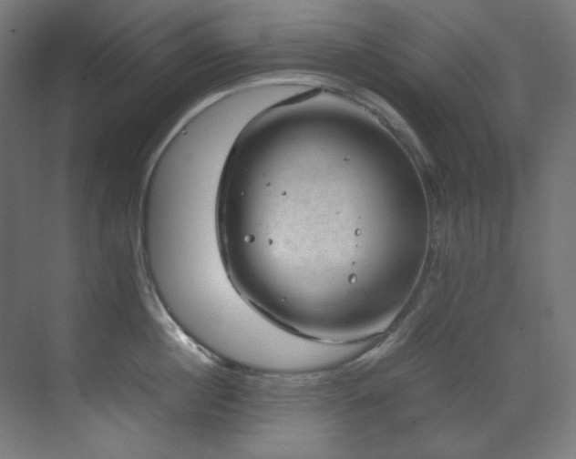 X0000070170860200605261154