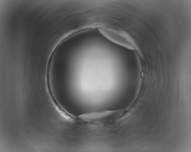X0000070170861200605261154