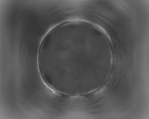 X0000070170863200605261154