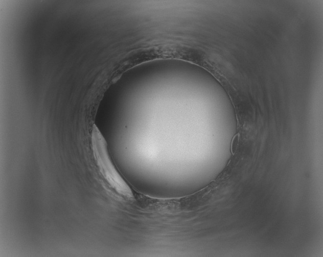 X0000070170865200605261153