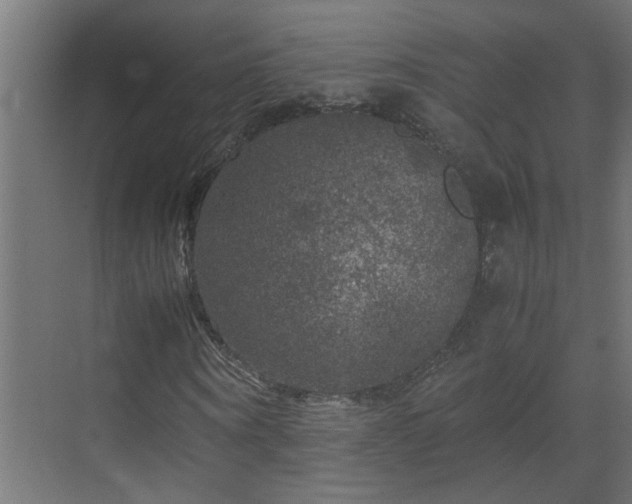 X0000070170866200605261153