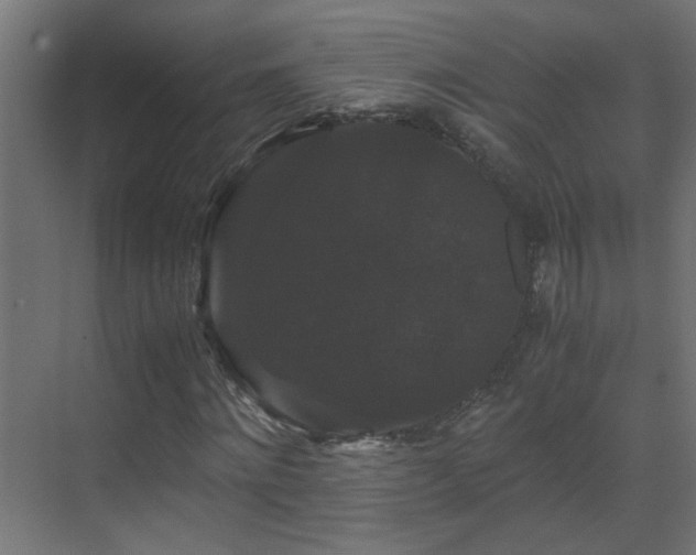 X0000070170868200605261153
