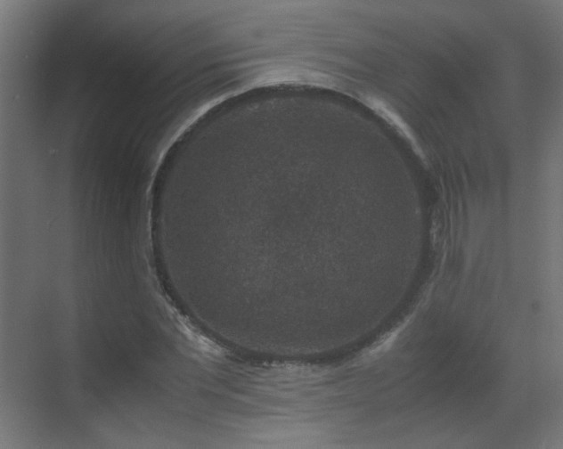 X0000070170877200605261153