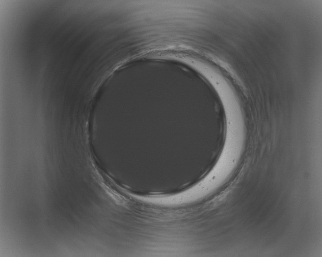 X0000070170881200605261153