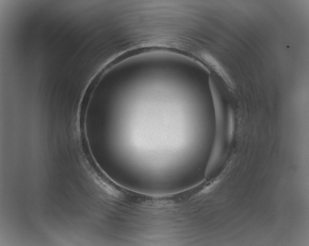 X0000070170884200605261153