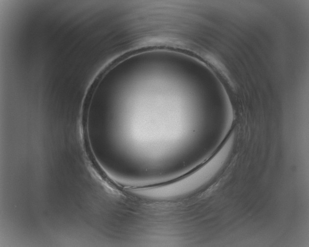 X0000070170888200605261153