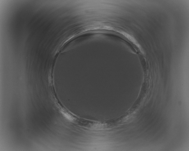 X0000070170889200605261153