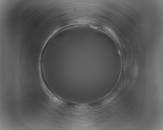 X0000070170899200605261153