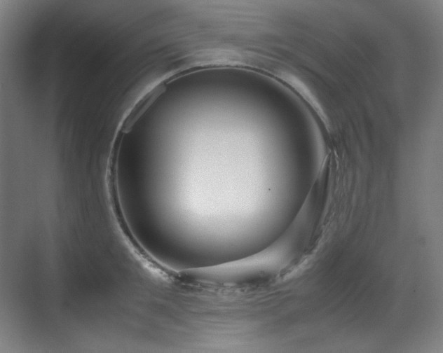 X0000070170901200605261153