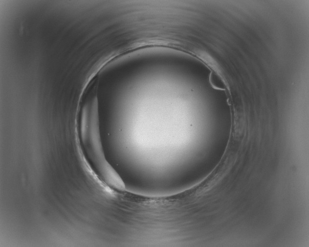 X0000070170906200605261152