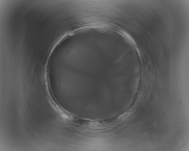X0000070170907200605261152