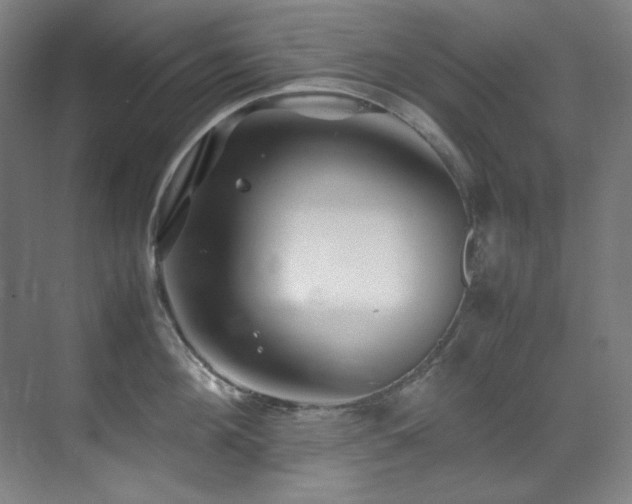 X0000070170908200605261152