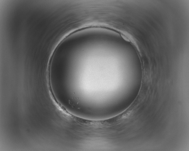 X0000070170911200605261152