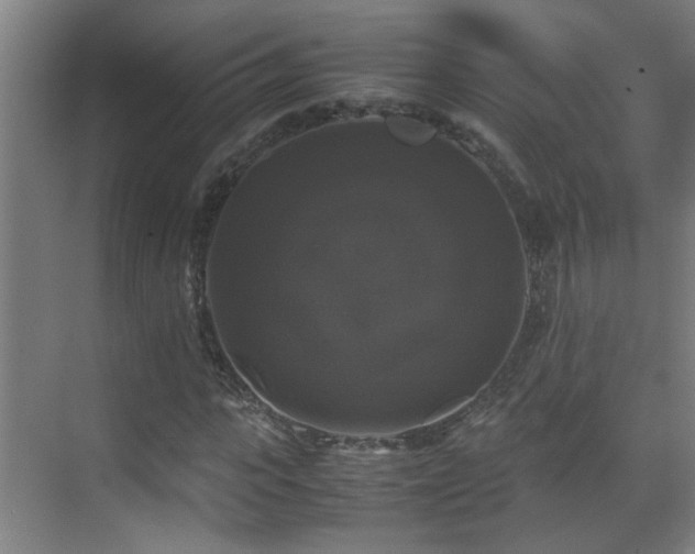 X0000070170919200605261152