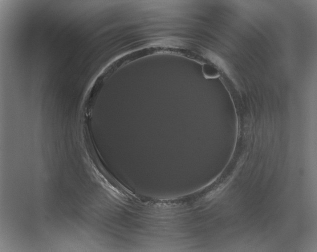 X0000070170923200605261152