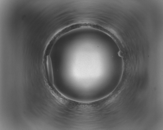X0000070170927200605261152