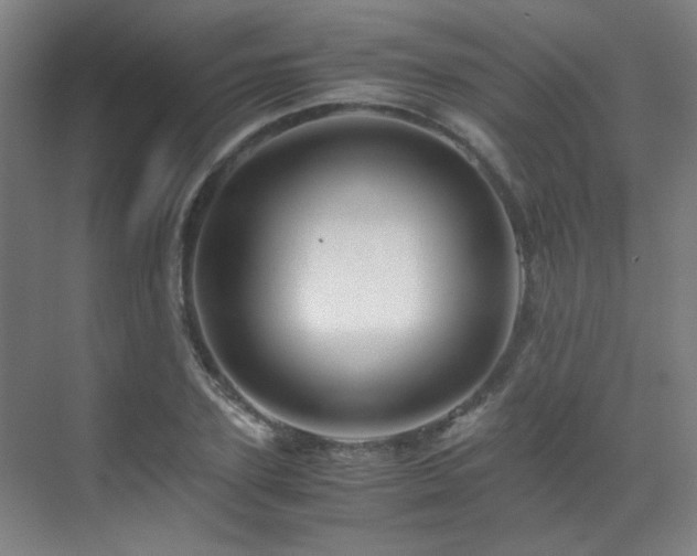 X0000070170931200605261152