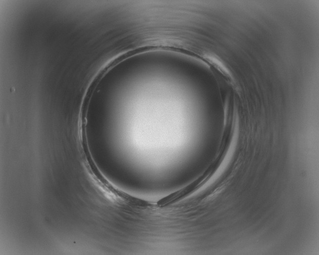 X0000070170940200605261152