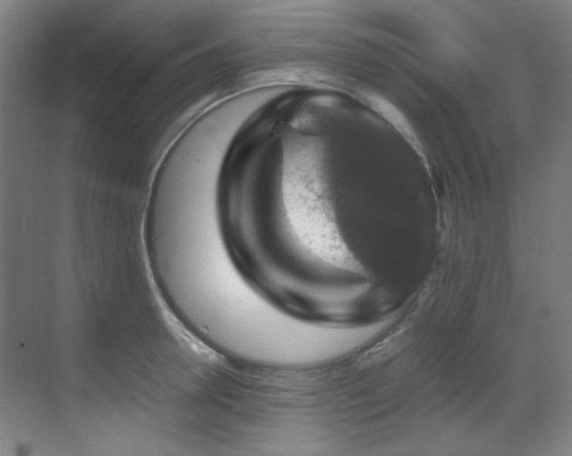 X0000070170946200605261152