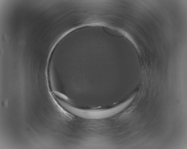 X0000070170959200605261152