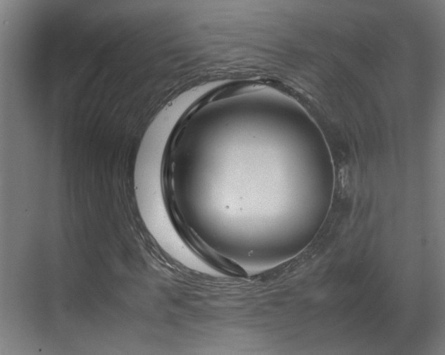 X0000070170963200605261151