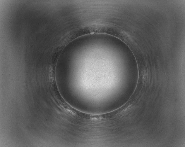 X0000070170964200605261151