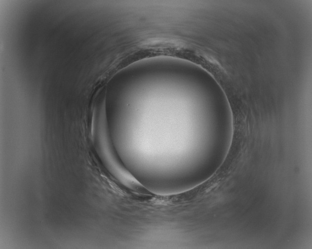 X0000070170965200605261151
