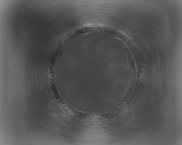 X0000070170966200605261151