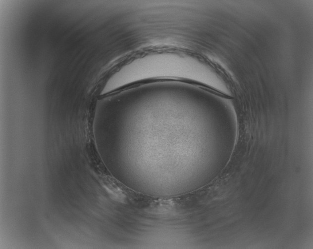 X0000070170968200605261151