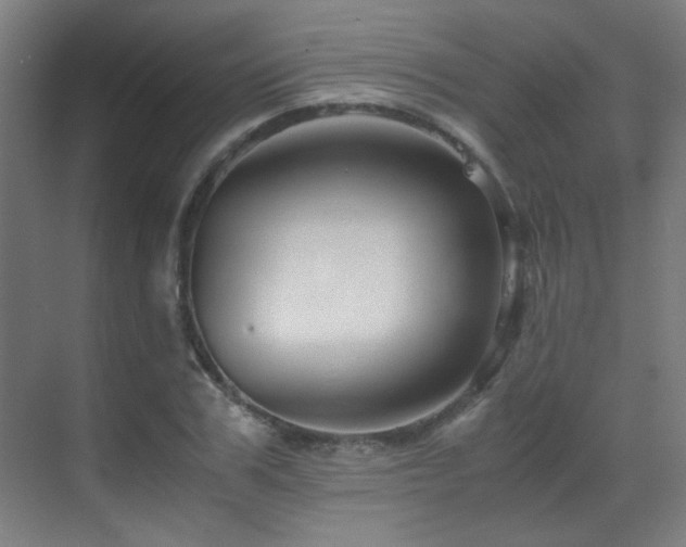 X0000070170979200605261151