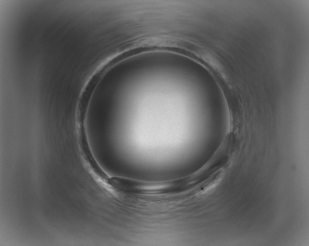 X0000070170981200605261151