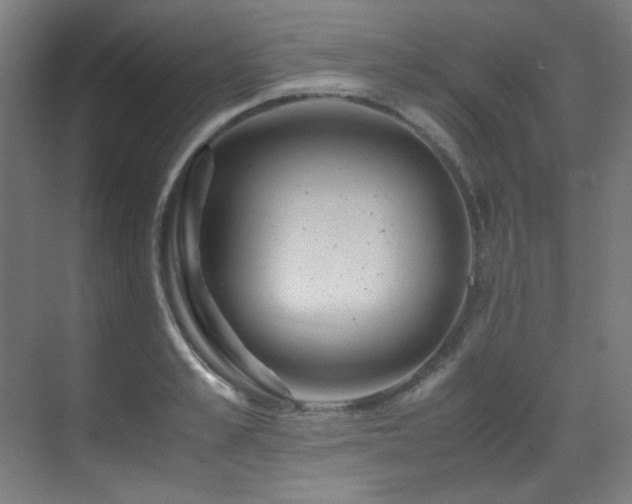 X0000070170989200605261151