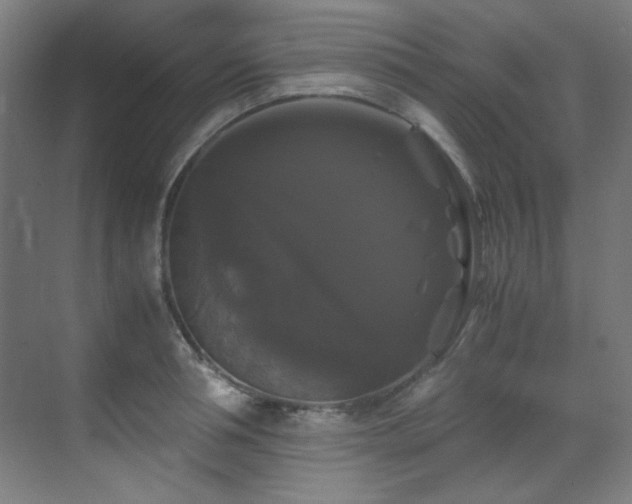 X0000070170994200605261151