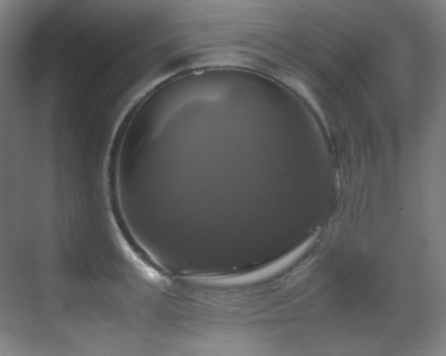 X0000070170995200605261151