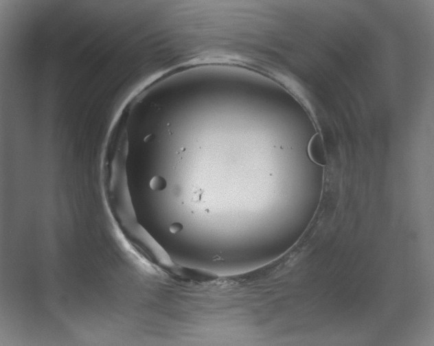 X0000070171003200605261151