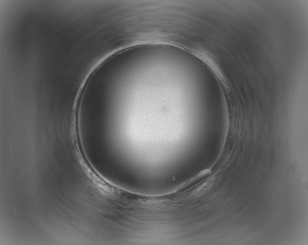 X0000070171004200605261151