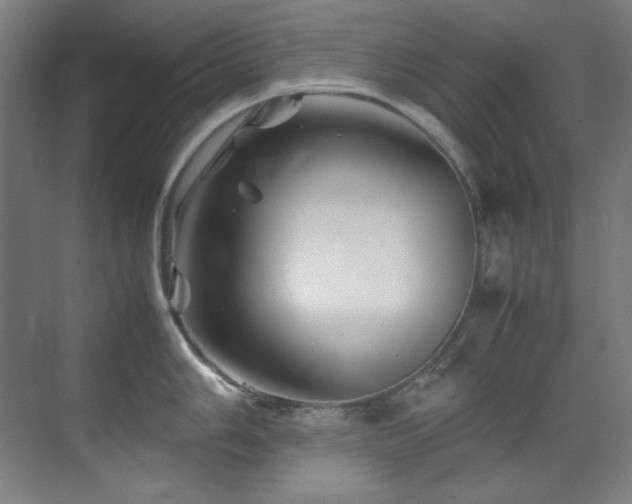 X0000070171006200605261151