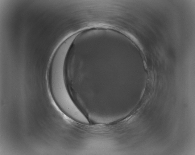 X0000070171007200605261151