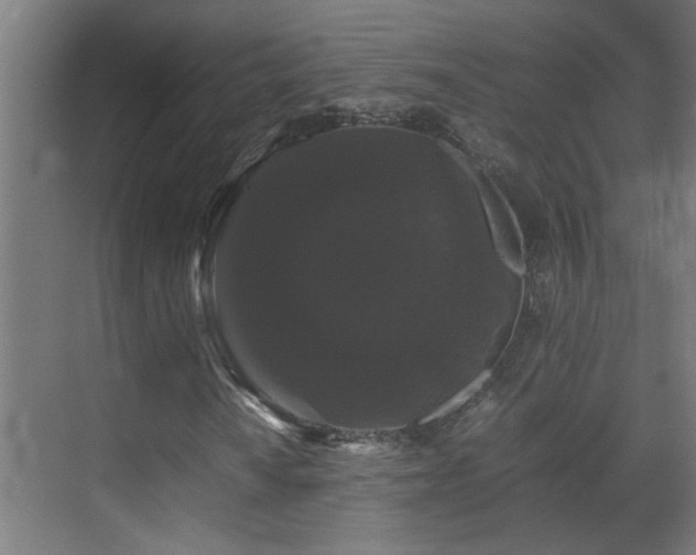 X0000070171010200605261150