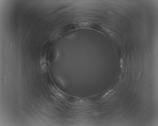X0000070171011200605261150
