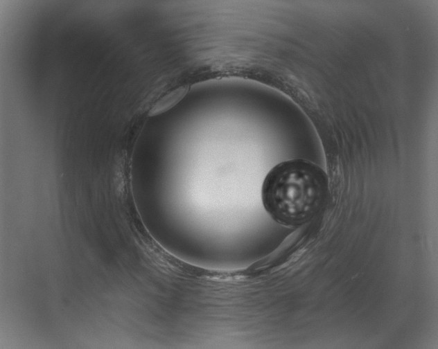 X0000070171012200605261150