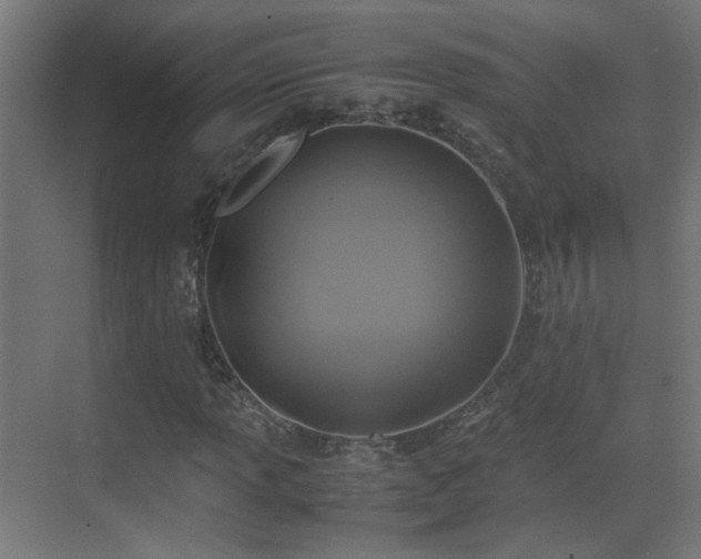 X0000070171013200605261150