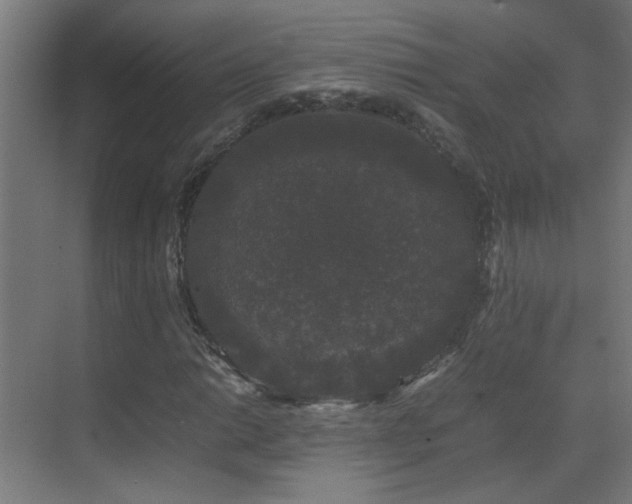 X0000070171014200605261150