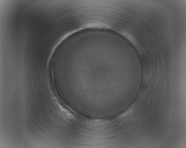 X0000070171022200605261150