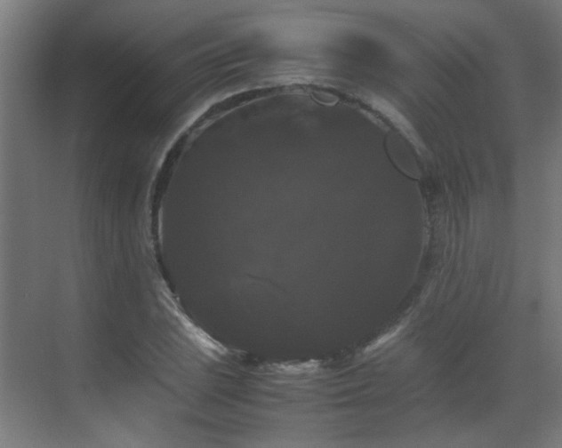 X0000070171023200605261150