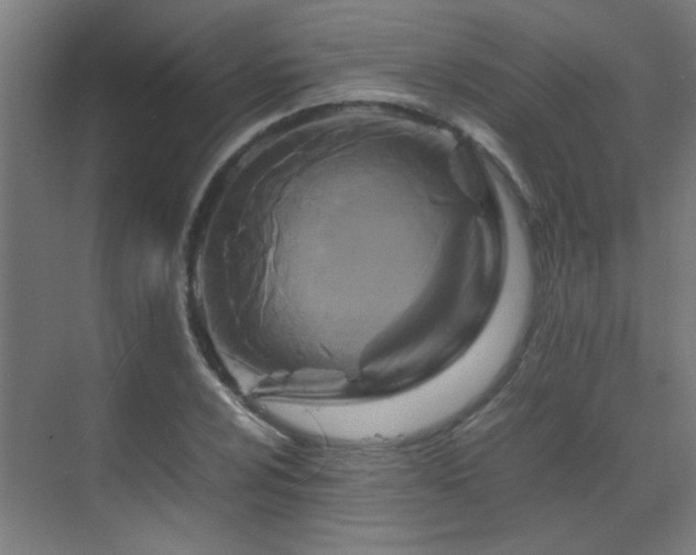 X0000070171024200605261150