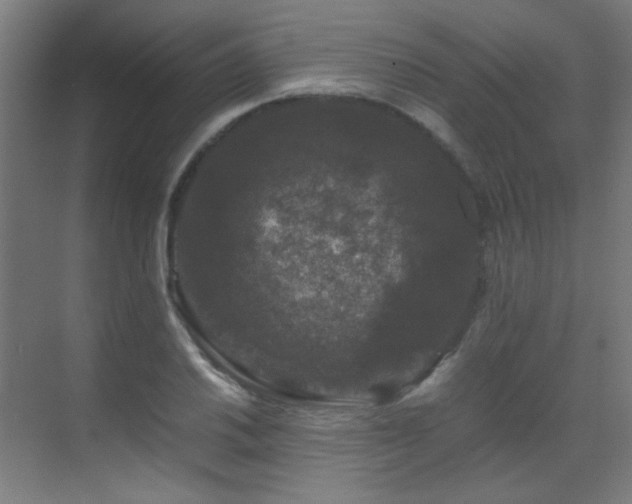 X0000070171030200605261150